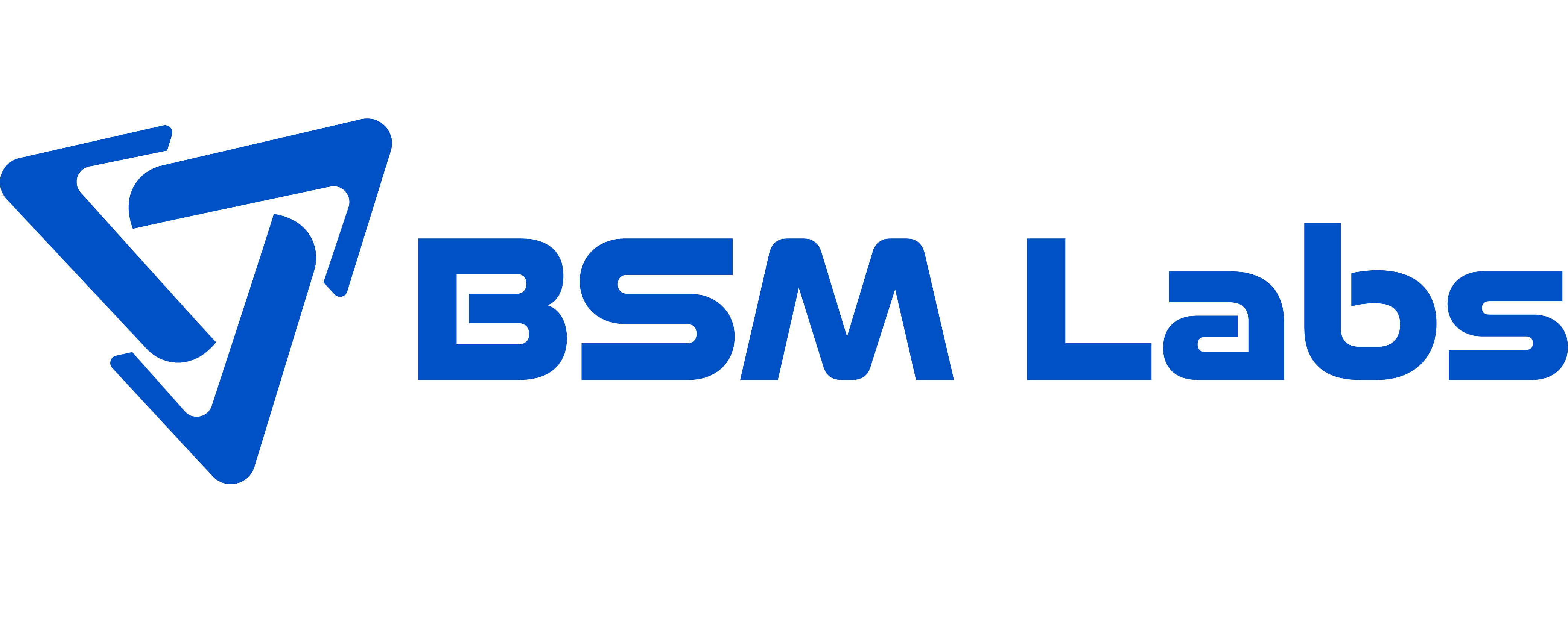 BSMLabs